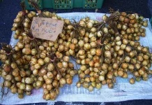Menjaga Buah Lokal Tetap Eksis, Salah Satunya lewat Rambai