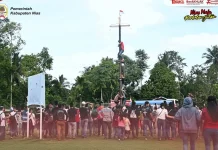Lomba Panjat Pinang di Kabupaten Nias Meriahkan Perayaan Hari Kemerdekaan