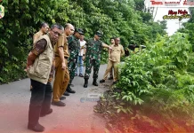 Tim Satgas PRR Melakukan Peninjauan Langsung Pascabencana Alam di Kabupaten Nias