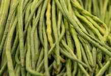 Kacang Panjang Membantu Mengontrol Berat Badan