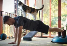 Tak Harus ke Gym, Strength Training Bisa Dilakukan di Rumah