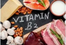 Sumber Vitamin B2 (Riboflavin) untuk Kesehatan Tubuh