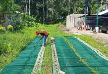 DPD BKPRMI Kota Gunungsitoli Gelar Gerakan Bersih Masjid Masjid