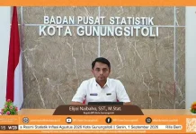Inflasi Kota Gunungsitoli Agustus 2026 Capai 5,07%, Masih Jauh Dari Interval Ideal