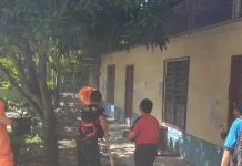 Mengancam Pelakar, Sarang Lebah di SMP Bunga Mawar Dievakuasi oleh Damkarmat