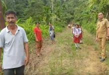 26 Persen Jalan Nias Utara Kondisi Baik, Jalan Desa Baru Dibangun 2028