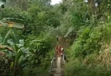 Minim Infrastruktur, 75% Warga Dusun 8 Umbubalodano Nias Utara Pilih Merantau