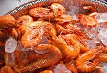 Mengapa Sebagian Orang Alergi terhadap Udang?