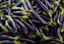 Terung Ungu Digoreng, Amankah untuk Kesehatan?
