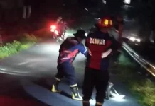 Damkarmat Gusit Evakuasi Ular Sanca di Jalan Desa Dahana Gawu- Gawu
