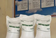 Stok Pangan Aman, Mitra Kios Minta Bulog Tambah Kuota Penjualan