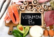 Sumber Vitamin B5 (Asam Pantotenat) untuk Kesehatan Tubuh
