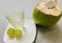 Air Kelapa dan Jeruk Lemon: Duet Detox Alami Paling Segar untuk Tubuh