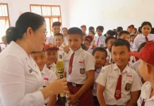 Sosialisasi Gemar Membaca di SDN Siana’a Mandrehe