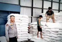 Polres Nias Kawal Distribusi 15 Ton Jagung Petani ke Gudang Bulog