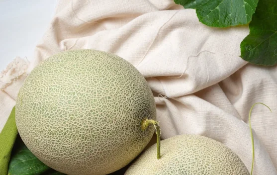 Tips Memilih Buah Melon Kualitas Baik
