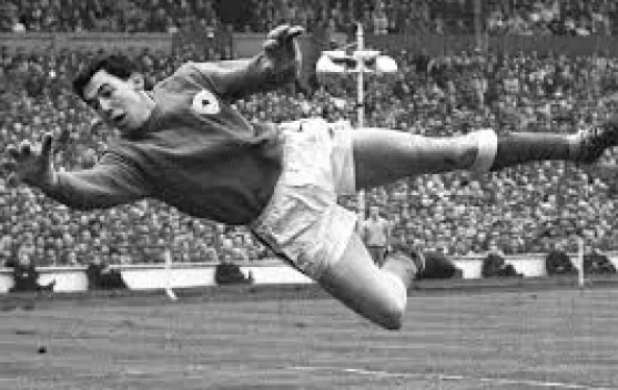 Sarung Tangan Kiper Pertama di Dunia