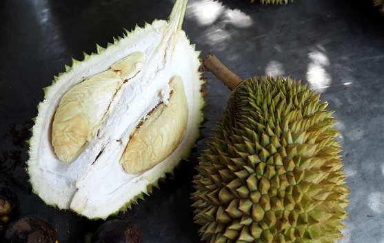 Manfaat Durian bagi Kesehatan