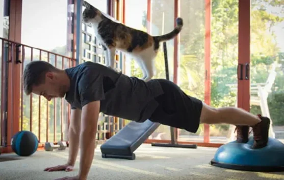 Tak Harus ke Gym, Strength Training Bisa Dilakukan di Rumah