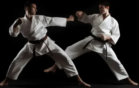 Asal Mula Olahraga Karate