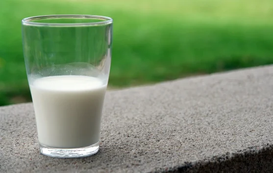 Manfaat Susu Kambing untuk Kesehatan