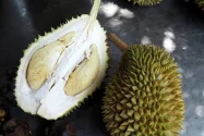 Manfaat Durian bagi Kesehatan