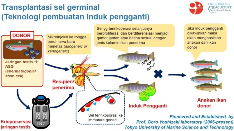 BRIN Dorong Industrialisasi Budidaya Ikan Air Tawar