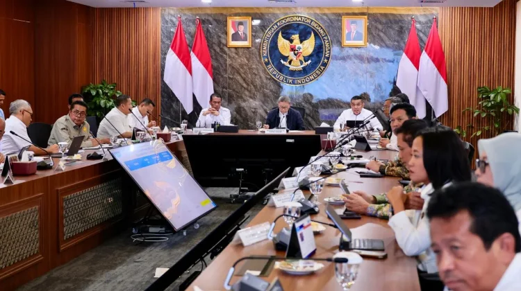 Pengendalian Fungsi Sawah, Wamen ATR/BPN Targetkan Peta LSD Baru di 17 Provinsi