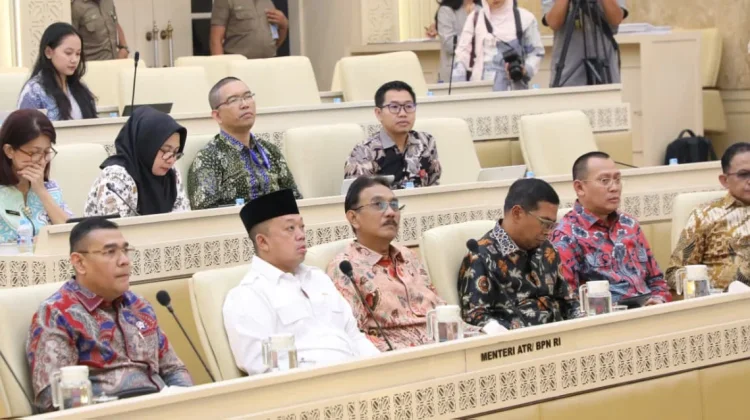 Kementerian ATR/BPN Dukung Swasembada Pangan lewat Kebijakan LBS, LP2B, dan LSD
