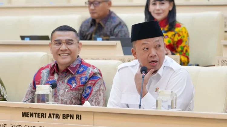 Kementerian ATR/BPN Dukung Swasembada Pangan lewat Kebijakan LBS, LP2B, dan LSD