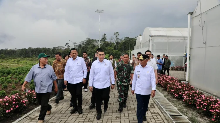 Wamen Ossy Dukung Pengembangan Kawasan TSTH2, Tekan Pentingnya Kepastian Tanah