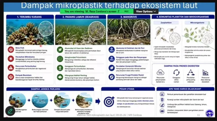 Ancaman Mikroplastik Mengintai Ekosistem Laut dan Keamanan Pangan