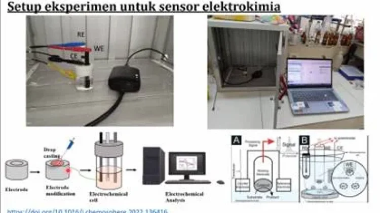 Deteksi Pemalsuan Pangan hingga Lingkungan, BRIN Kembangkan Sensor Elektrokimia