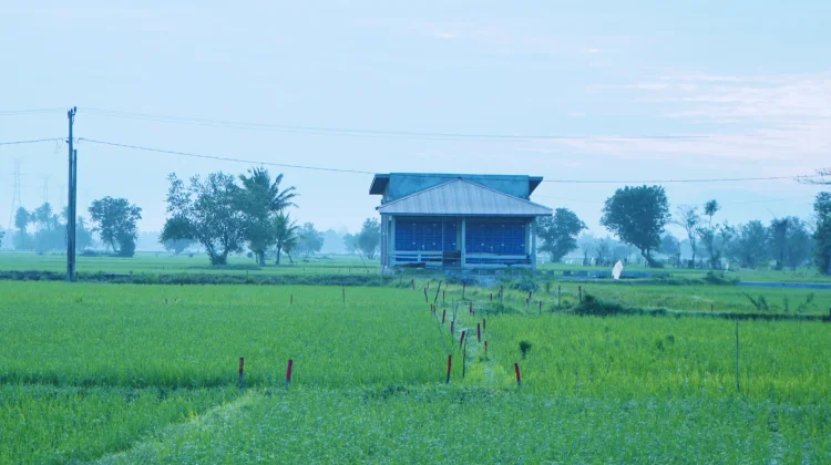 Mengenal Asas Kontradiktur Delimitasi, Kunci Kepastian Batas Bidang Tanah