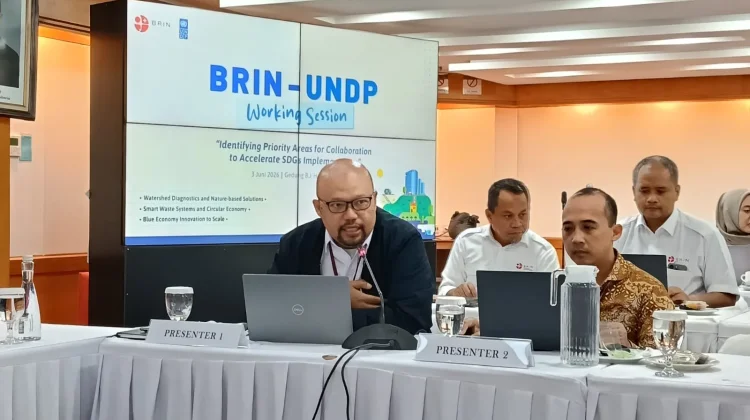 Percepat Pencapaian SDGs, BRIN Dorong Skema Co-Funding Pendanaan Riset dengan UNDP