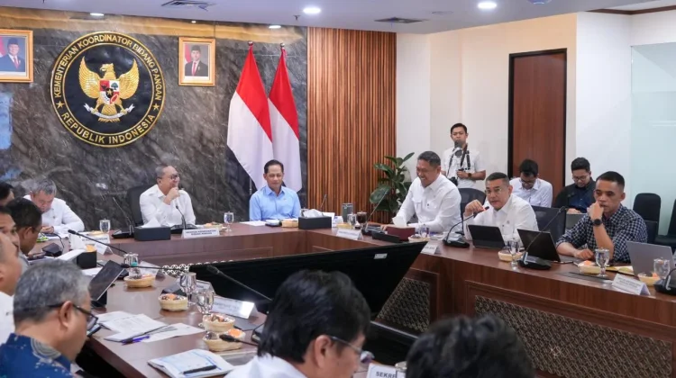 Laporkan Progres Dukungan KSPEAN Papua Selatan, Wamen Ossy Tegaskan Landasan Kuat