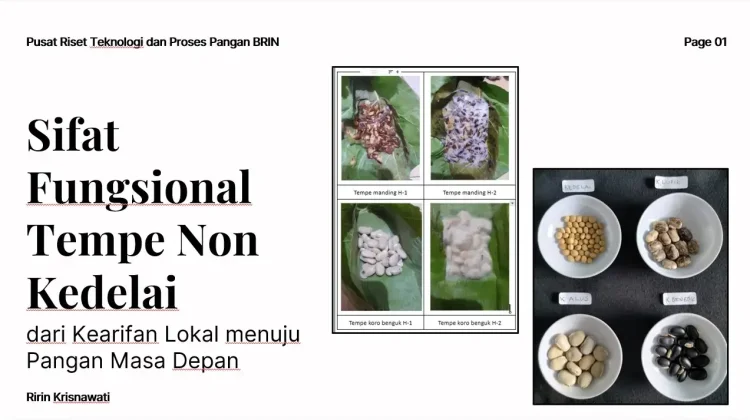 Tempe Nonkedelai Berpotensi Perkuat Ketahanan Pangan dan Kesehatan Masyarakat