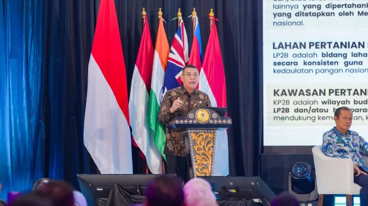 Bangun Kedaulatan Pangan Nasional, Kementerian ATR/BPN Targetkan 87% LBS Jadi LP2B