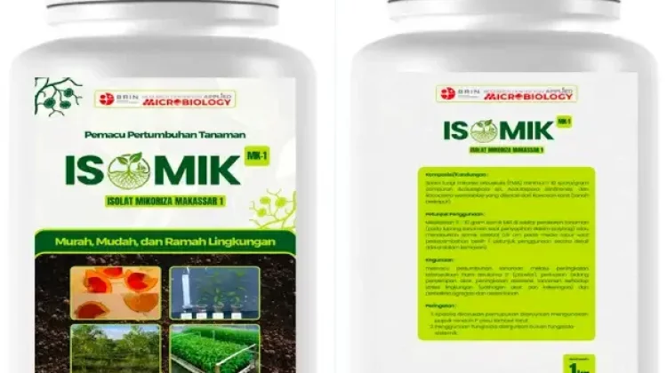 BRIN Kembangkan Bioreklamasi Ramah Lingkungan untuk Lahan Pascatambang