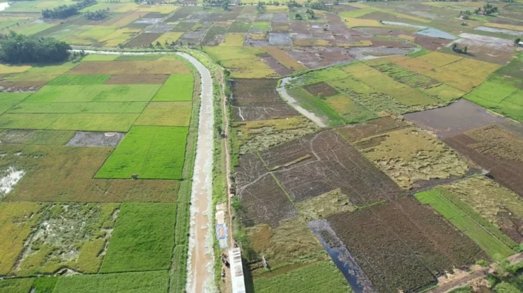 Ketahui Kewajiban Bayar BPHTB dan PPh dalam Transaksi Jual Beli Tanah