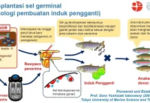 BRIN Dorong Industrialisasi Budidaya Ikan Air Tawar