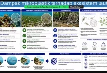 Ancaman Mikroplastik Mengintai Ekosistem Laut dan Keamanan Pangan