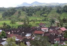 Sertipikat Tanah Ulayat Jadi Benteng Nagari dalam Menjaga Kepemilikan Adat
