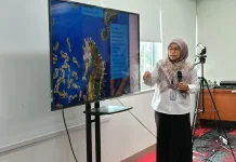 13 Spesies Kuda Laut, Hadapi Ancaman Perdagangan hingga Kerusakan Habitat