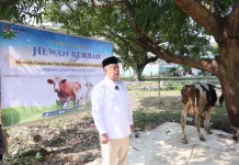 Iduladha 1447 H, Menteri Nusron Salurkan Kurban ke Pondok Pesantren Attaqwa