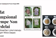 Tempe Nonkedelai Berpotensi Perkuat Ketahanan Pangan dan Kesehatan Masyarakat