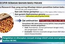 BRIN Kembangkan Pakan Ikan Berbasis Kecipir, Pertumbuhan Gurami Dua Kali Lipat