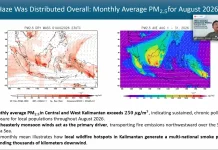 Riset BRIN Ungkap Pola Sebaran PM2.5 Karhutla di Asia Tenggara