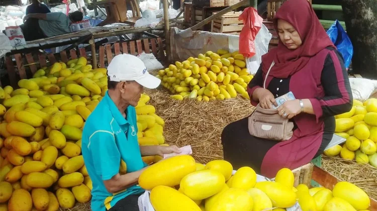 Pedagang Musiman Timun Suri Raup Untung saat Ramadhan