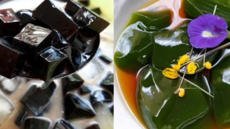 Khasiat Cincau: Cocok Jadi Menu Berbuka dan Sahur